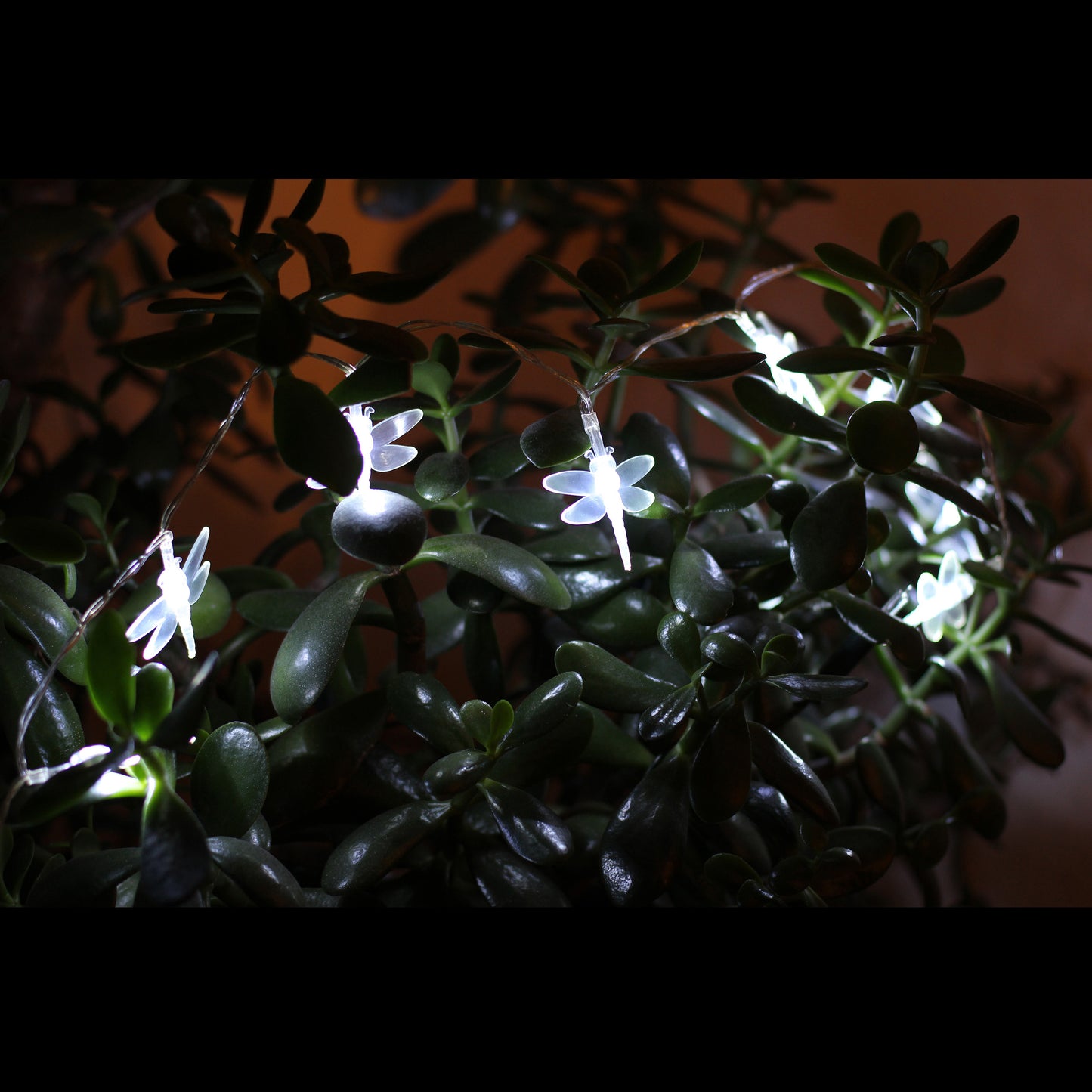 LED Lichterkette mit Batteriefach / Design: Libelle / 10 LED / Leuchtfarbe: Weiß
