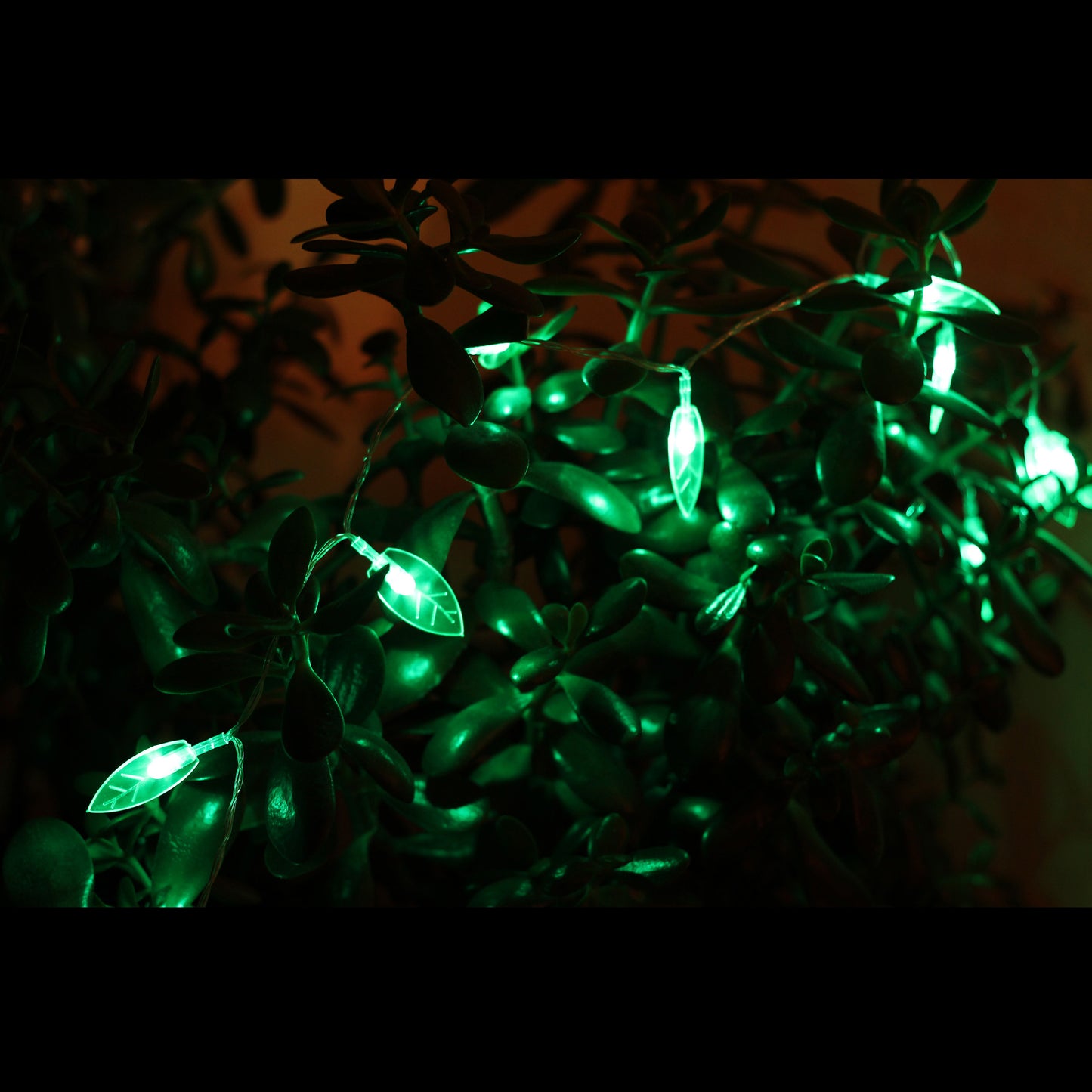 LED Lichterkette mit Batteriefach / Design: Blätter / 10 LED / Leuchtfarbe: Grün