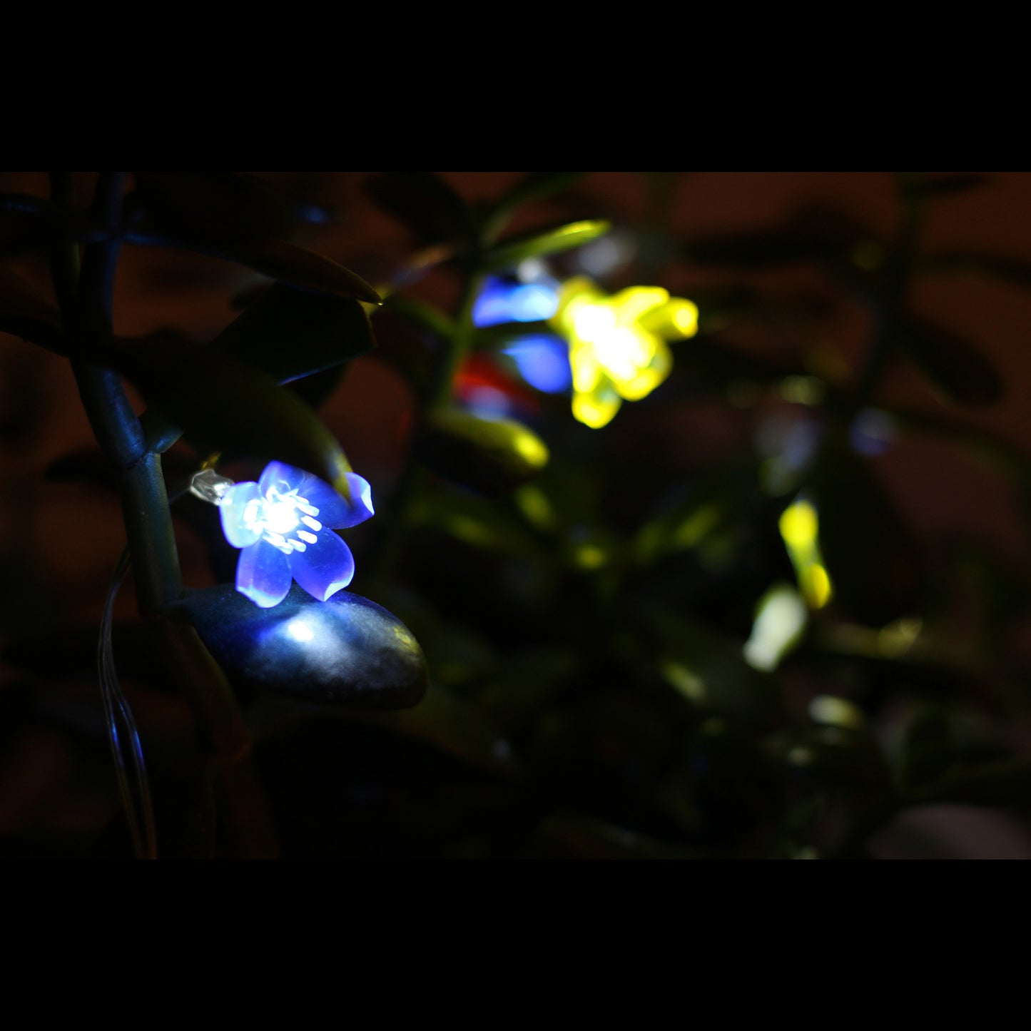 LED Lichterkette mit Batteriefach / Design: Blumen / 10 LED / Multicolor Deko