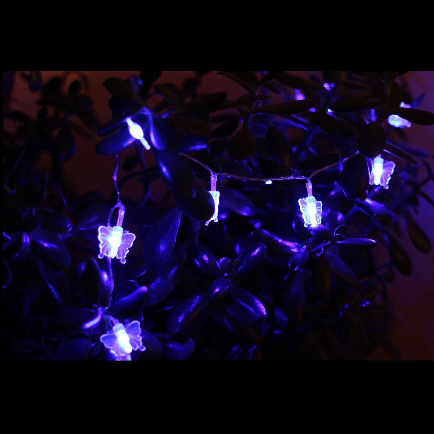 LED Lichterkette mit Batteriefach / Design: Schmetterlinge / 10 LED Dekolicht
